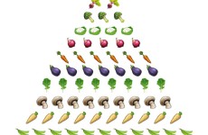 to show every vegetable used in the song