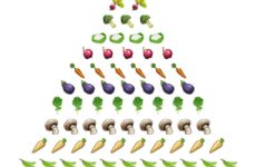 12 Veggie days of Xmas