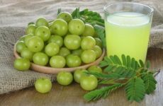 Gooseberry juice