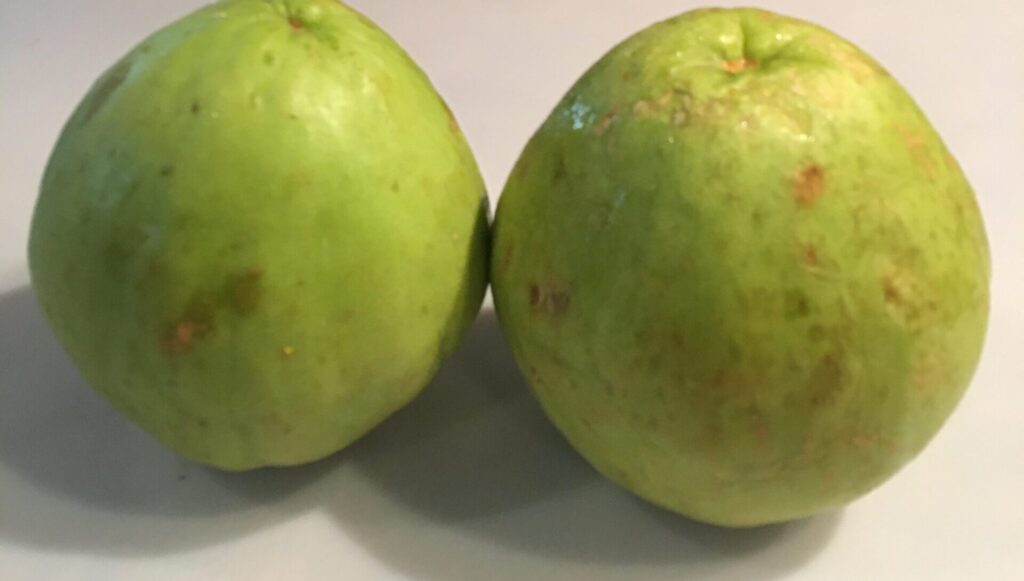 Chayote squash (Raw)